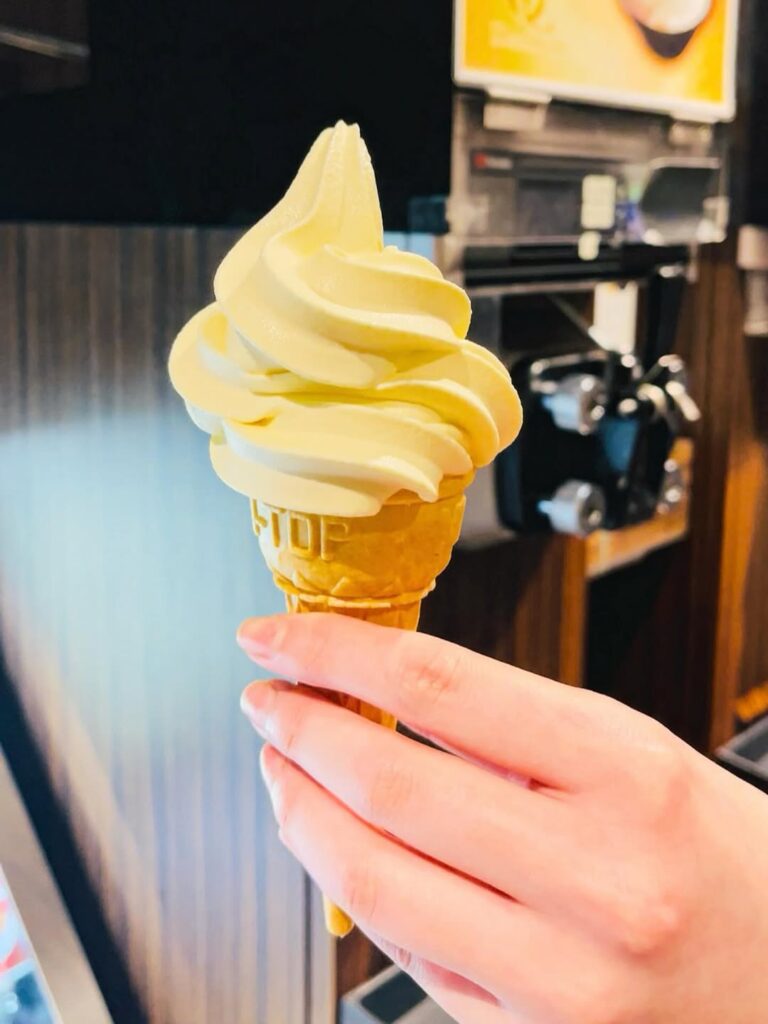 三重県でソフトクリームなら下手でも何度で挑戦できるドリームオーシャン