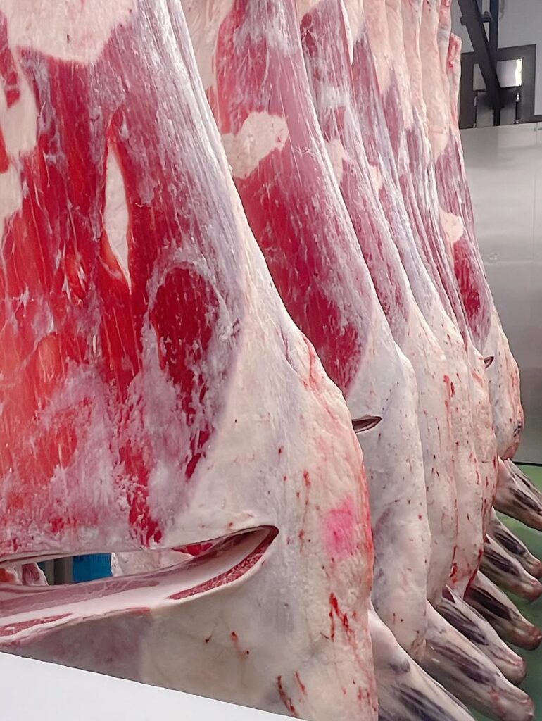 松阪牛の一頭買いの方必見!枝肉の解体が見学できます😳➀