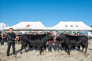 「第58回多気町肉牛共進会」が令和7年11月15日(土)複合リゾート施設VISONの「旅籠(はたご)」駐車場前広場にて開催されました。今回のせり市では 以下の6頭を落札させていただきました。