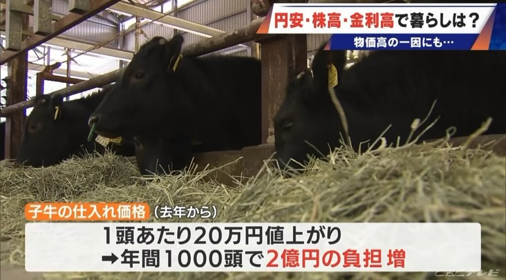 ニュースクロスで放送された松阪牛の飼料の高騰、子牛価格の高騰、現場は限界ギリギリの状況というテレビ取材された霜ふり本舗（瀬古食品）4