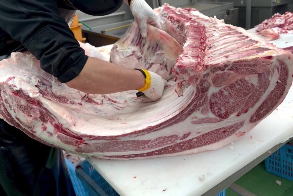 松阪牛のハラミはどこの部位？横隔膜？どうして内臓（ホルモン）扱い？🥩✨