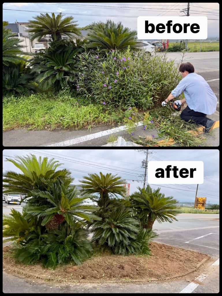 ドリームオーシャンの第二駐車場をスッキリ除草作業!🌿🚗✨